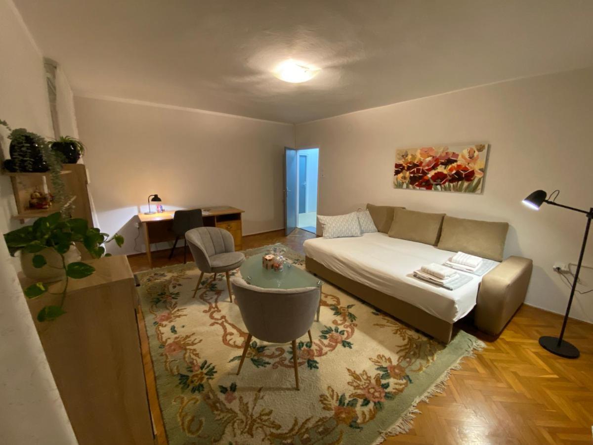 Apartman Colapis- Self Check In, Free Parking, Premium Location! Карловаць Екстер'єр фото