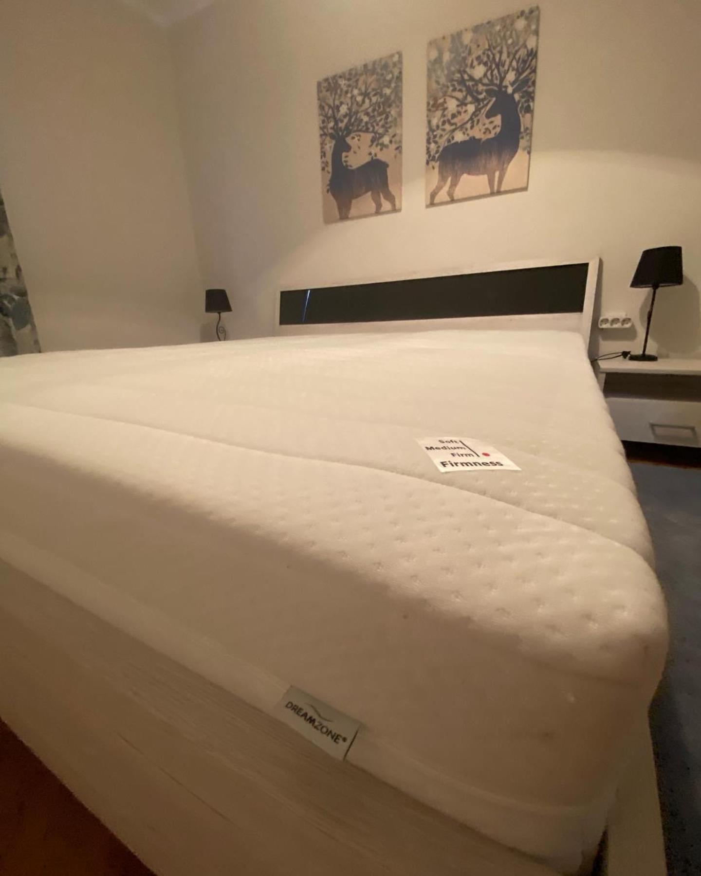 Apartman Colapis- Self Check In, Free Parking, Premium Location! Карловаць Екстер'єр фото